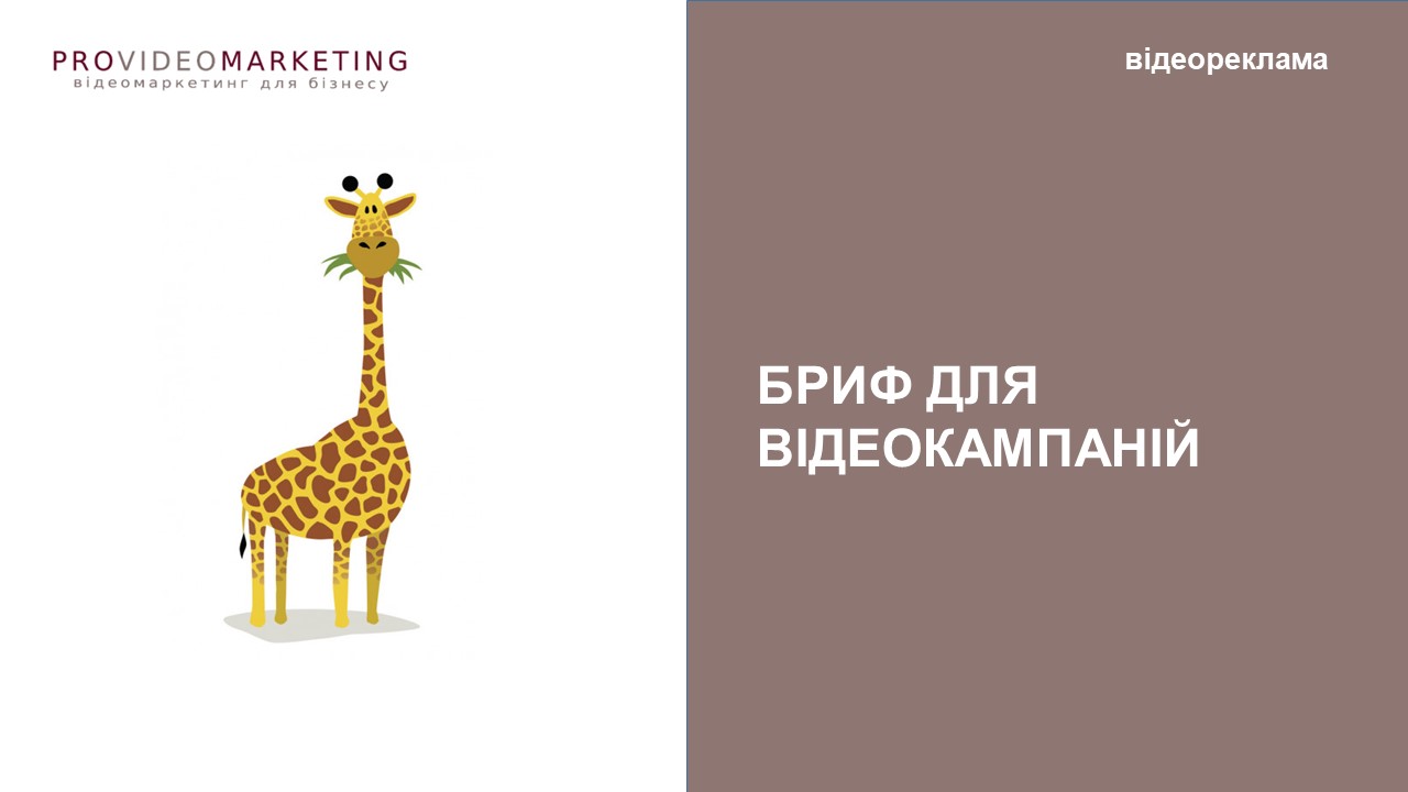 бриф на відеорекламу